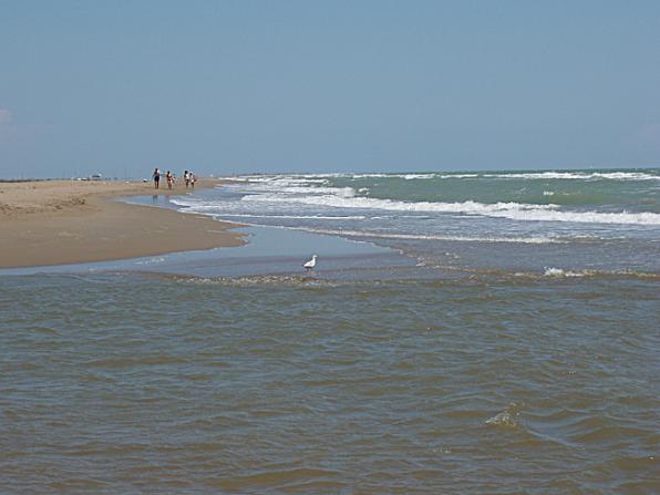 VISITA LA COSTA DAURADA - NO TE LO DEJES PERDER 3