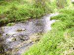Les obres de restauració del Gaià a L'Albereda es presenten a un congrés de restauració de rius