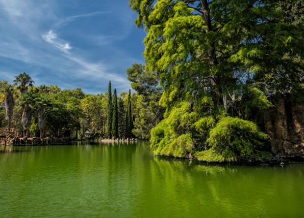 Lago Parque Samá