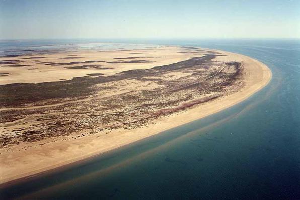 Del Trabucador beach - Sant Carles de la Ràpita