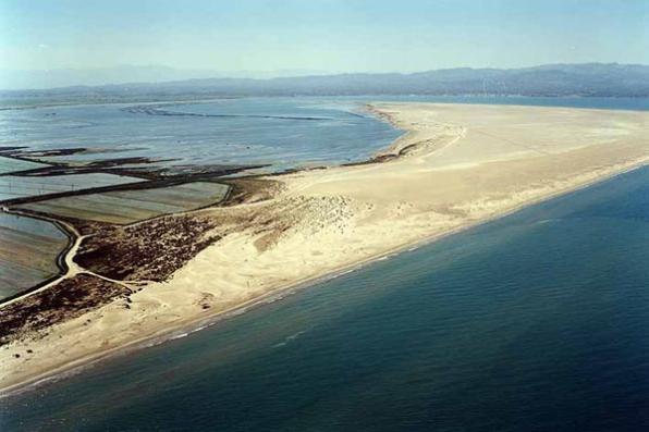 Playa de la Marquesa - Deltebre