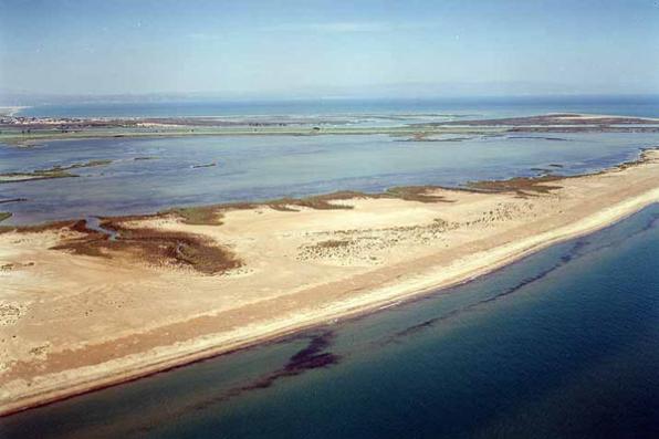 Playa de la Gola del Migjorn - Sant Jaume d'Enveja