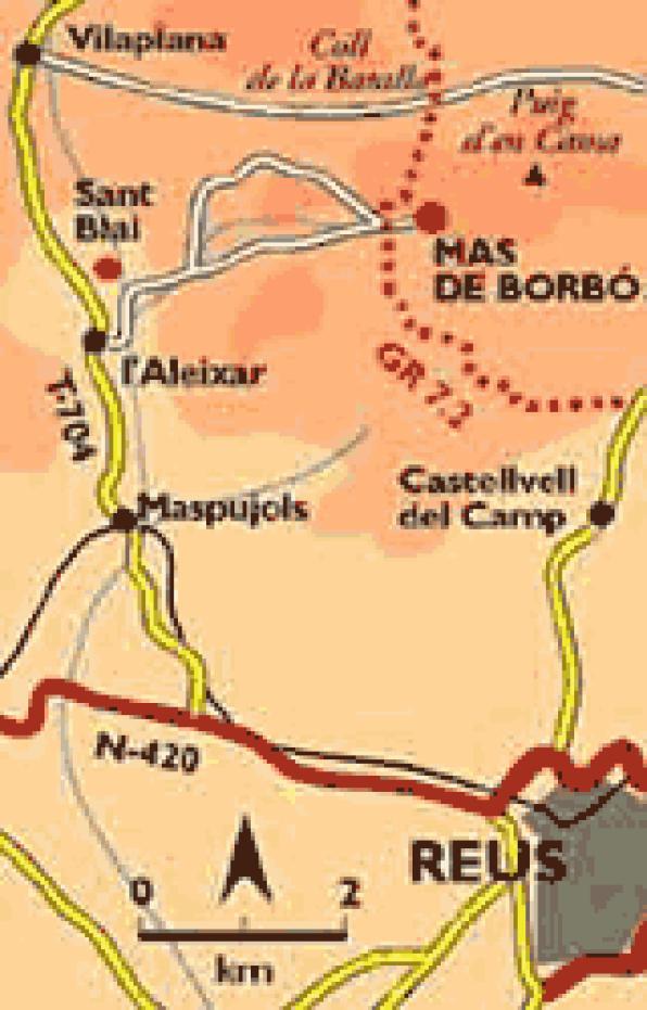 The alzina del Mas de Borbó. The oldest.