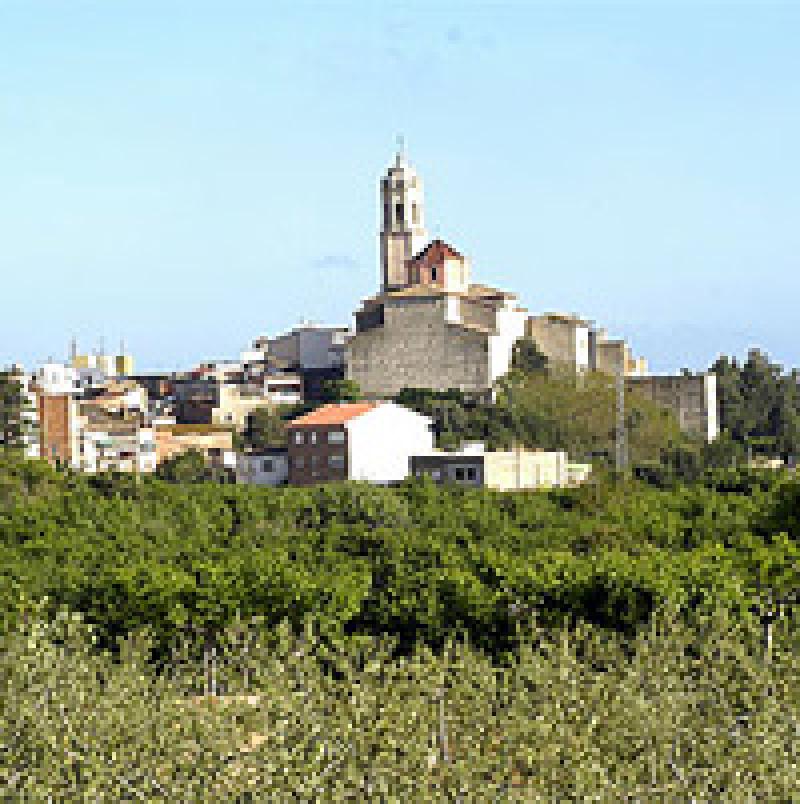 les del Camp