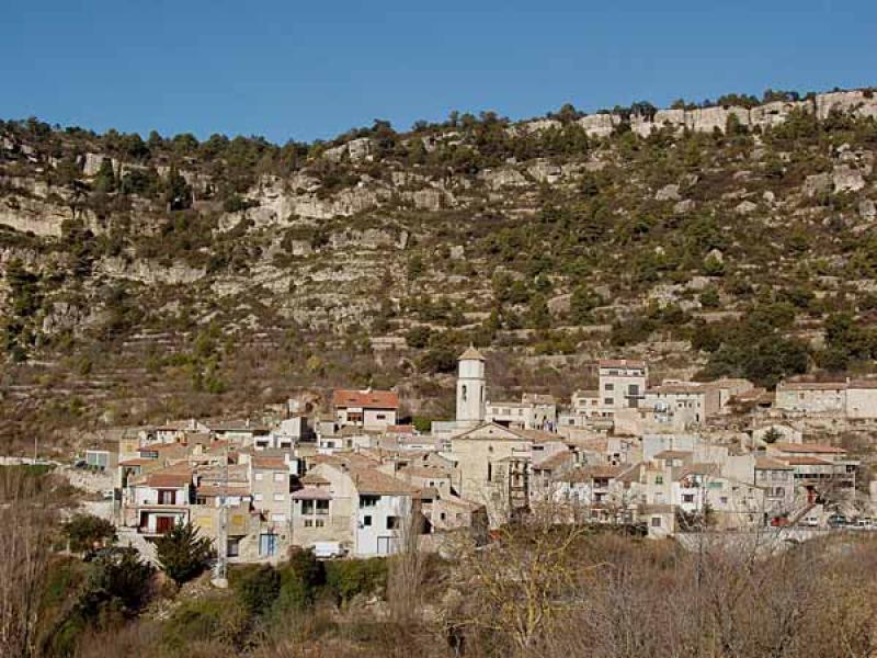 Arbol&iacute;