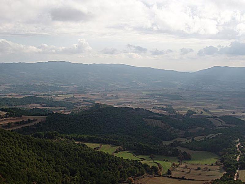 For&egrave;s 3