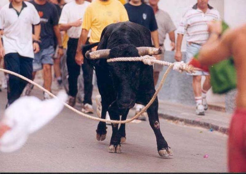 Santa B&agrave;rbara