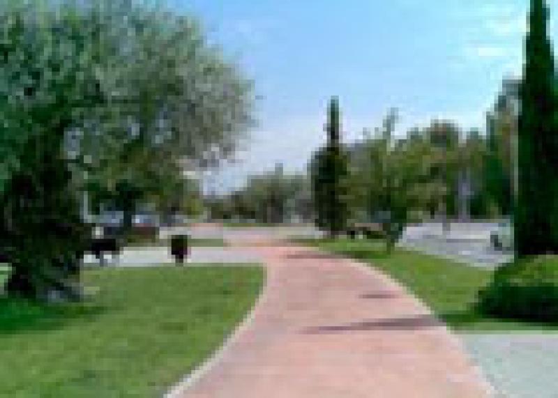 Oliveres monumetals <br /> Salou. Costa Daurada