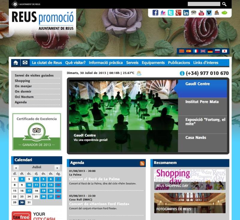 Web Reus Promoci&oacute; 2013.