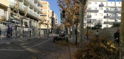 Salou poda més de 10.000 unitats vegetals de carrer