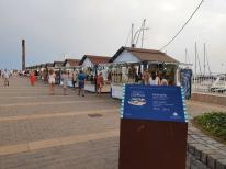 What to do today: Shopping at the Harbour Market in the Espigón 
