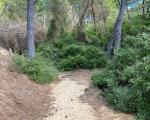 El Camino de Ronda tiene gran valor medio ambiental y paisajístico