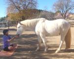 Yoga con caballos cerca de Salou_1