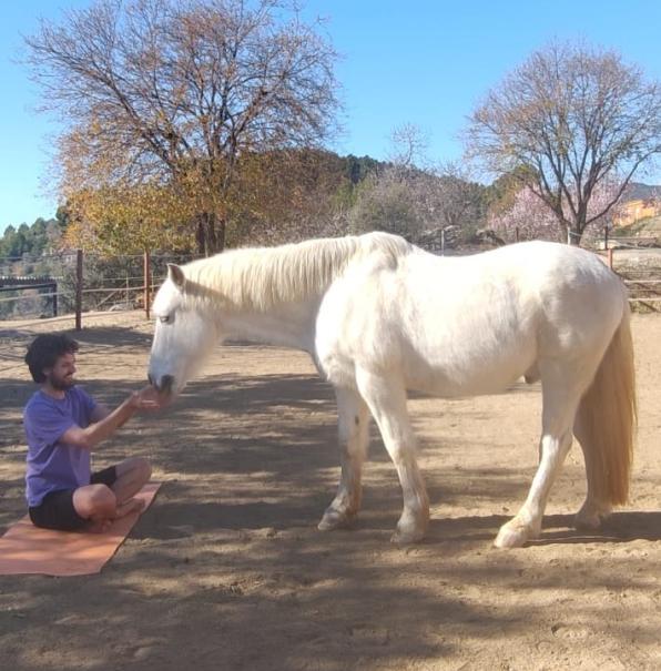 Yoga con caballos cerca de Salou_1