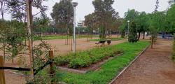 Manel Albinyana Park is replanted to recover lost trees