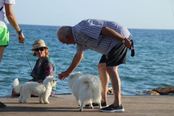 Salou offers services to visitors who travel with their pets