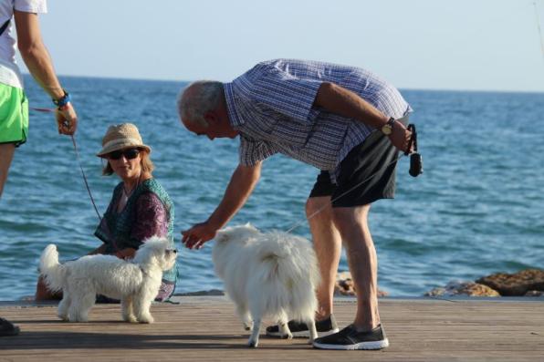 Salou ofrece servicios a visitantes que viajan con sus mascotas