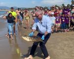 Devolución de la tortuga Maui al mar. Cedida