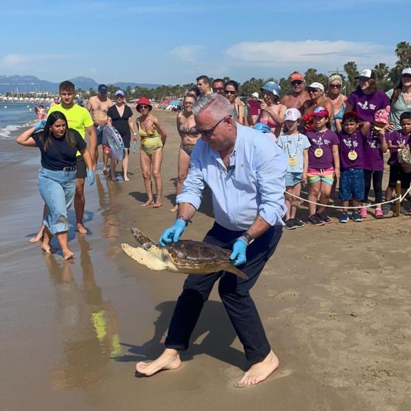 Devolución de la tortuga Maui al mar. Cedida