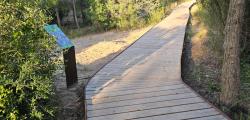 Ruta del Pla del Maset i Bosc de la Duna Gran