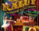 Since October, 8th until October 18th, Circus Raluy stays in Reus