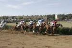 Grand Equestrian Festival and the Cós de San Antonio's races