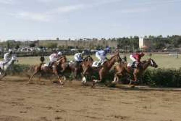 Grand Equestrian Festival and the Cós de San AntonioŽs races