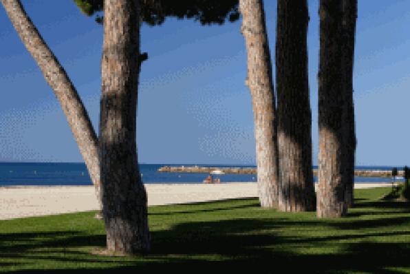 The beaches of Vilafortuny-l'Esquirol, Cavet and Prat dŽen Fores in Cambrils, receive the Blue Flag