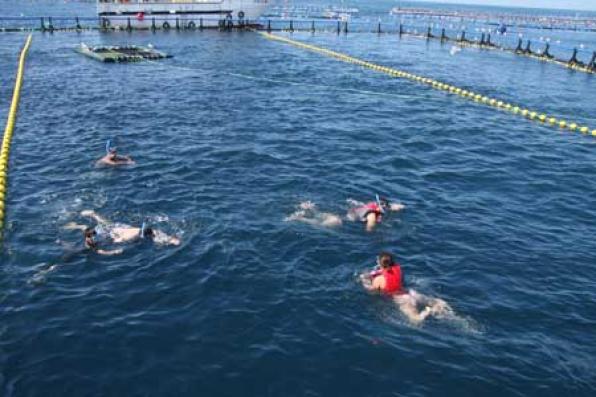 Bathing among tuna, a unique experience with Tuna Tour in waters of Ametlla de Mar 2