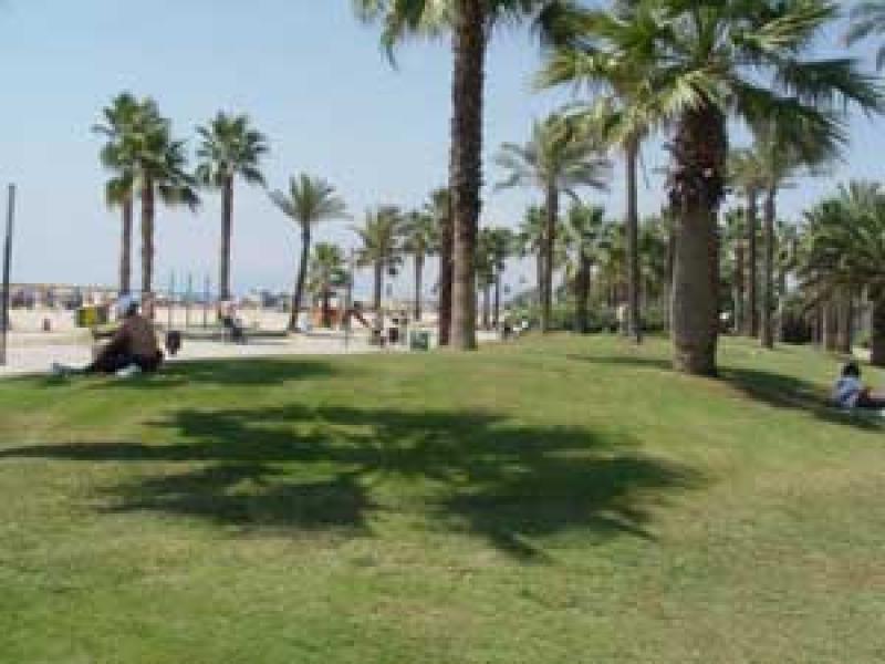 Salou estalvia aigua potable amb un sistema per a regar els seus jardins amb aigua fre&agrave;tica
