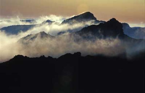 The nature of Vandellòs and l'Hospitalet de l'Infant, photographed in the new exhibition