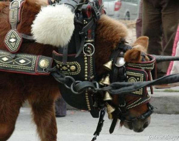 Calafell will hold the 61st edition of the festival Tres Tombs