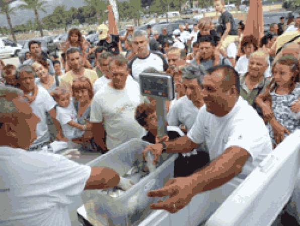 Guanyadors del 7è Concurs Hermanos Guasch de Pesca al curricà