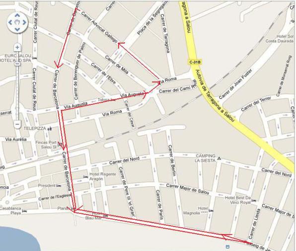 Coso Blanco 2011. Pasacalle de carrozas. 5 de febrero. 10'30 h. Recorrido. 1