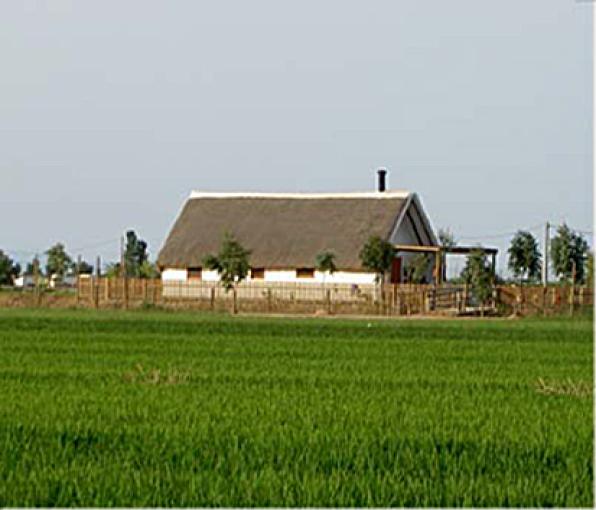 Barraca del Salvador - Deltebre