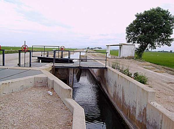 Bienvenidos al Parque Natural del Delta del Ebro 5