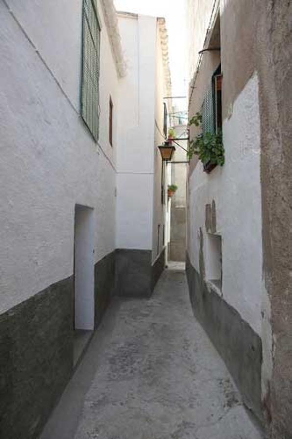 LA TORTOSA JUEVA: VISITA ALS INDRETS URBANS QUE HAN ESTAT TESTIMONIS DE LA PRESÈNCIA HEBRAICA 1