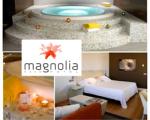 El Hotel Magnolia ofrece un Spa privado y el Castillo de Javier un menú especial para San Valentín